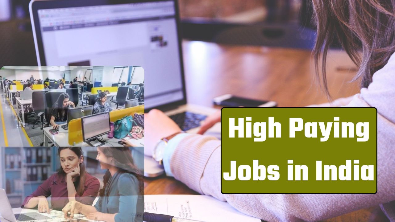 Highest Paying Jobs In India