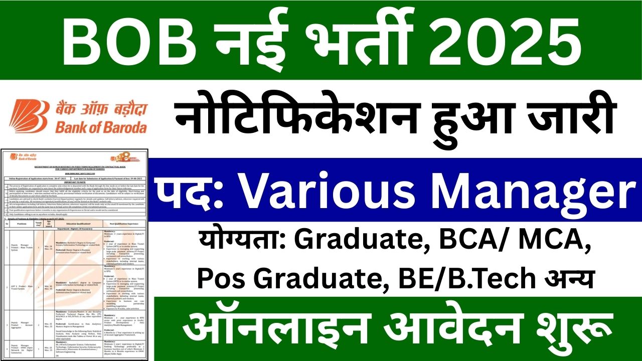 BOB Professionals Recruitment 2025